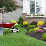 Simple Landscaping Solutions for Every Homeowner